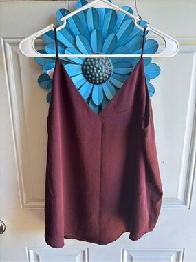 Express Burgundy Satin V-Neck Slip Cami